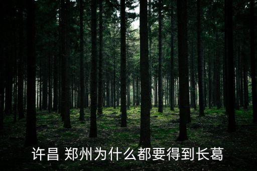 許昌 鄭州為什么都要得到長(zhǎng)葛