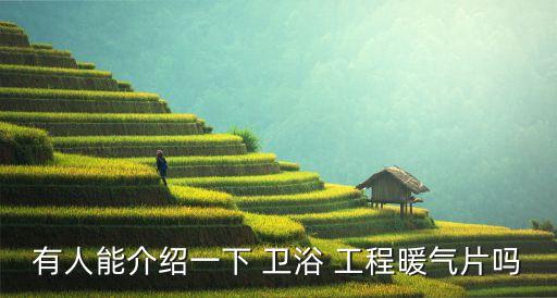 有人能介紹一下 衛(wèi)浴 工程暖氣片嗎