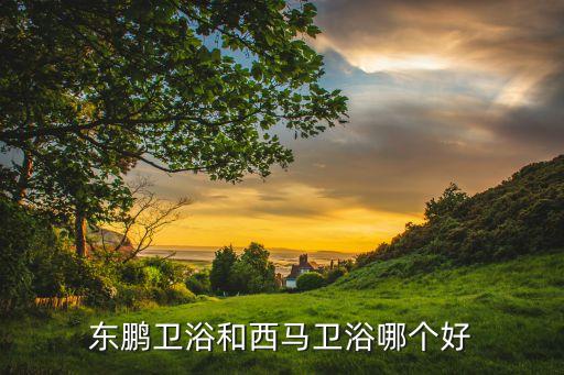 東朋衛(wèi)浴,高級(jí)設(shè)計(jì)師李瀟晨是董鵬衛(wèi)浴的高級(jí)工程師