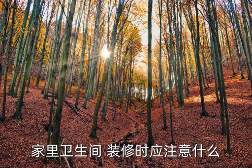家里衛(wèi)生間 裝修時(shí)應(yīng)注意什么