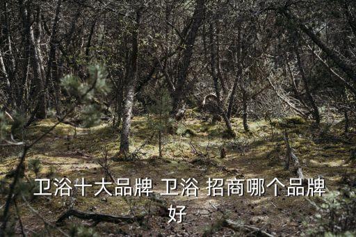 衛(wèi)浴網(wǎng)絡(luò)招商,衛(wèi)浴加盟還是需謹(jǐn)慎!日豐衛(wèi)浴不錯(cuò)!