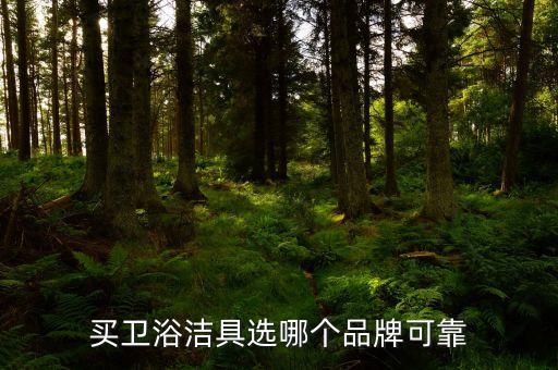 克萊帝衛(wèi)浴柜展示圖,中國衛(wèi)浴十大品牌排行榜出爐