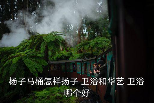 花藝衛(wèi)浴,揚(yáng)子衛(wèi)浴怎么看?看看這里!