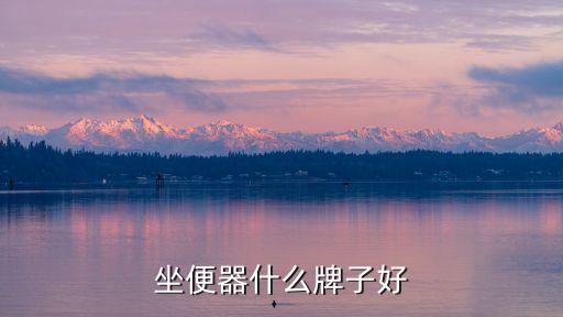 廣東衛(wèi)浴坐便,挑選馬桶要注意什么?