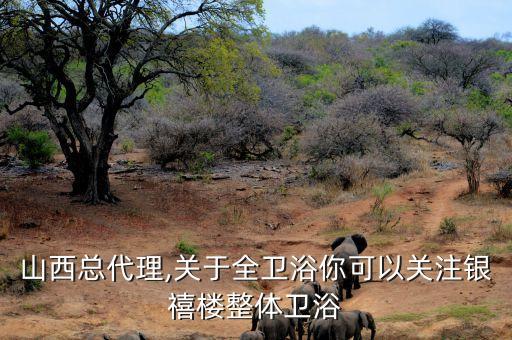 衛(wèi)浴山西總代理,關(guān)于全衛(wèi)浴你可以關(guān)注銀禧樓整體衛(wèi)浴