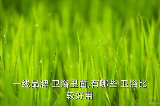 一線品牌 衛(wèi)浴里面,有哪些 衛(wèi)浴比較好用