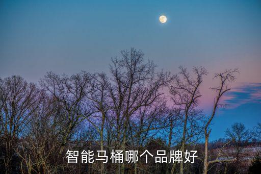精智能衛(wèi)浴,智能馬桶知多少?問與答（13）