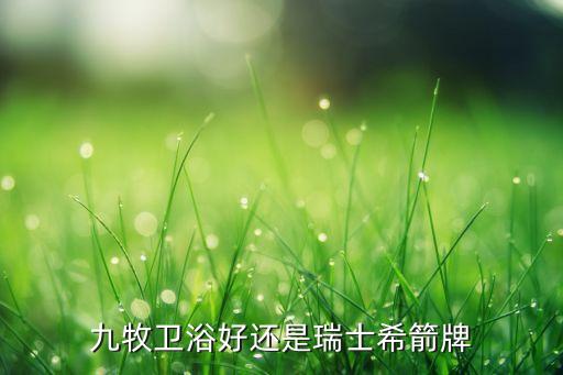 希箭衛(wèi)浴官網(wǎng),冒充大牌假洋鬼子和箭牌打擦邊球