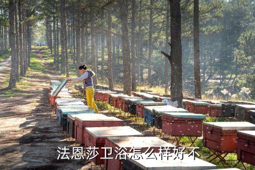 法恩莎實體店衛(wèi)浴怎么樣,法恩莎浴室柜品牌簡介