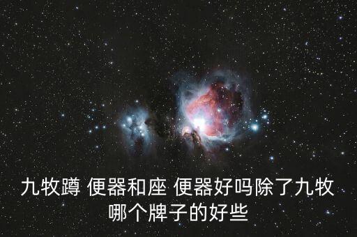 九牧蹲 便器和座 便器好嗎除了九牧哪個牌子的好些