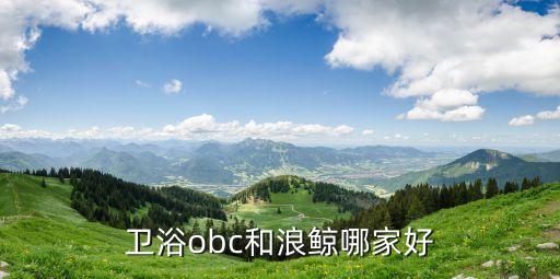 衛(wèi)浴obc和浪鯨哪家好