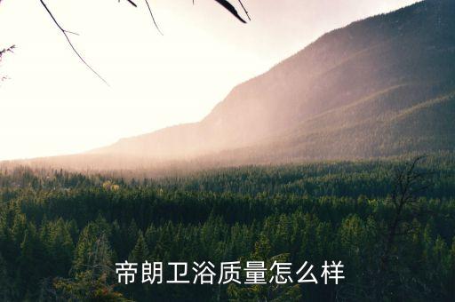  帝朗衛(wèi)浴質(zhì)量怎么樣