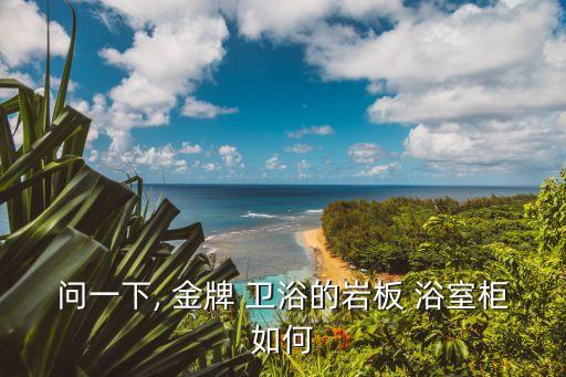 問一下, 金牌 衛(wèi)浴的巖板 浴室柜如何