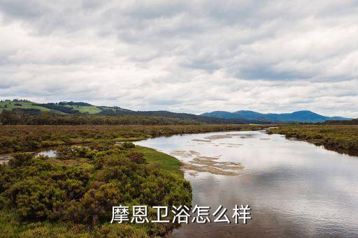  摩恩衛(wèi)浴怎么樣