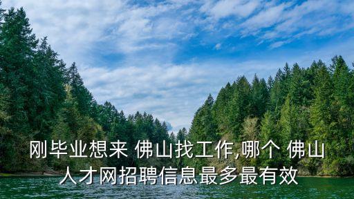 剛畢業(yè)想來 佛山找工作,哪個 佛山 人才網招聘信息最多最有效