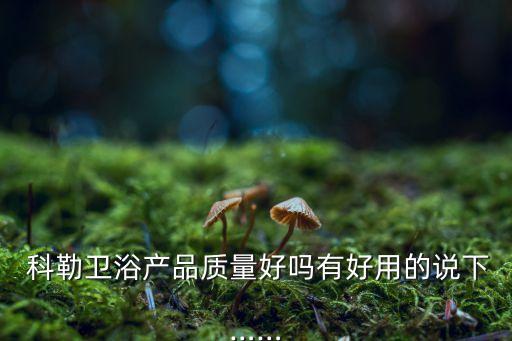  科勒衛(wèi)浴產(chǎn)品質(zhì)量好嗎有好用的說下……
