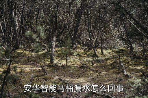 安華衛(wèi)浴維修,安華智能馬桶電磁閥壞了怎么辦?