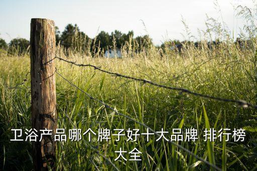 雙十一衛(wèi)浴排行,衛(wèi)浴十大品牌之一朗鯨衛(wèi)浴上榜