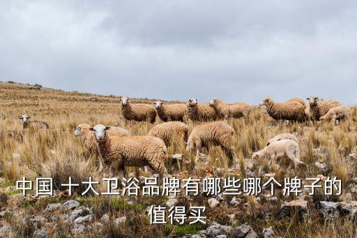 中國(guó) 十大衛(wèi)浴品牌有哪些哪個(gè)牌子的值得買