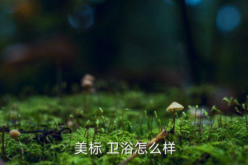 美標(biāo)衛(wèi)浴的產(chǎn)品賣(mài)點(diǎn),美標(biāo)衛(wèi)浴在市場(chǎng)樹(shù)立良好品牌形象和口碑