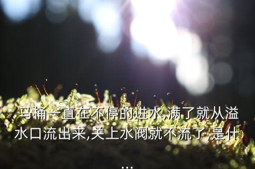  馬桶一直在不停的進(jìn)水,滿了就從溢水口流出來(lái),關(guān)上水閥就不流了,是什...