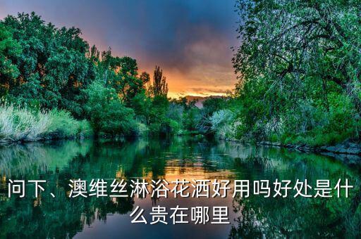 問(wèn)下、澳維絲淋浴花灑好用嗎好處是什么貴在哪里
