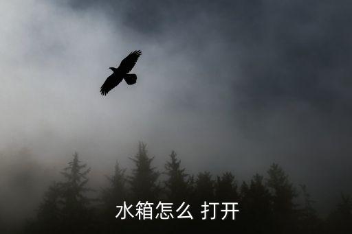 恒潔衛(wèi)浴衛(wèi)生間水箱蓋整么打開,馬桶水箱怎么開?秘密!