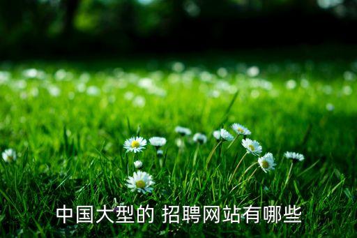 中國衛(wèi)浴人才招聘網(wǎng),中國招聘net，英國人才net
