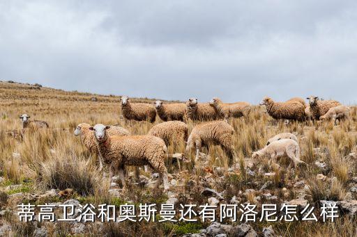 蒂高衛(wèi)浴和奧斯曼還有阿洛尼怎么樣