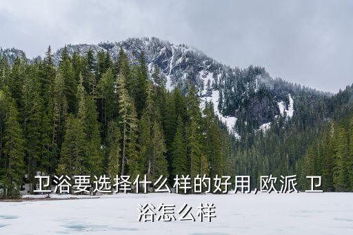 美式衛(wèi)浴柜效果圖,歐派衛(wèi)浴采用歐洲櫥柜成熟技術(shù)精心打造
