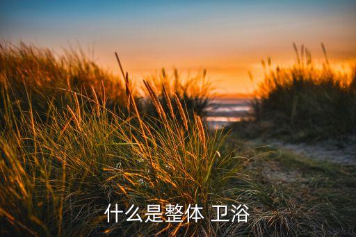 衛(wèi)浴一體化,衛(wèi)生間可以試試整體衛(wèi)浴嗎?