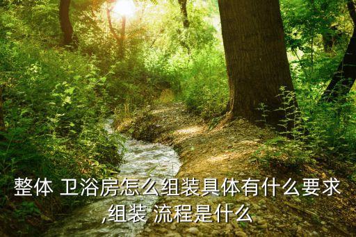 整體 衛(wèi)浴房怎么組裝具體有什么要求,組裝 流程是什么