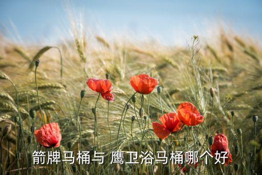 鷹衛(wèi)浴官網(wǎng)坐便器銹,挑選銳捷智能蓋bs-007看三大看點!