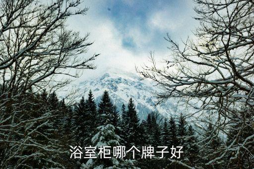 民陶衛(wèi)浴,衛(wèi)浴柜知多少?問(wèn)與答（15）