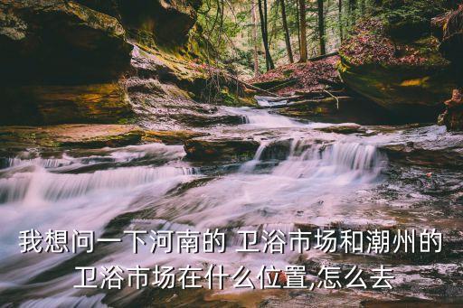 我想問一下河南的 衛(wèi)浴市場和潮州的 衛(wèi)浴市場在什么位置,怎么去