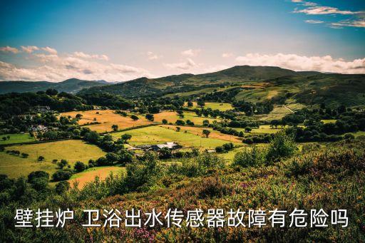 感應(yīng)衛(wèi)浴,壁掛爐出水傳感器故障危險(xiǎn)!衛(wèi)浴潔具種類繁多