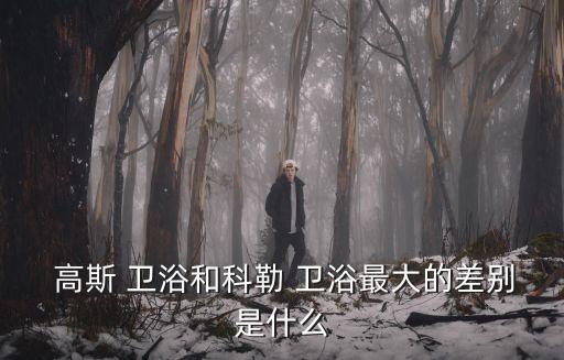 高斯衛(wèi)浴綁德國(guó)品牌,國(guó)內(nèi)十大衛(wèi)浴品牌之一高斯衛(wèi)浴正式上架