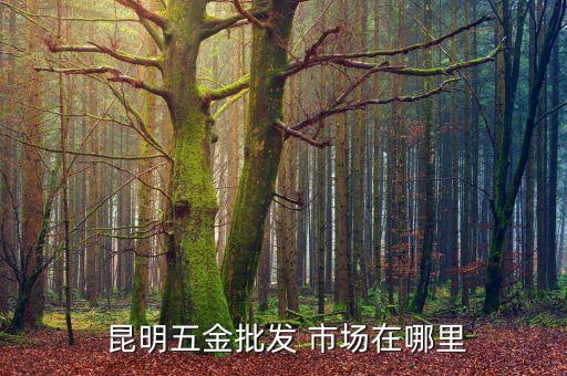  昆明五金批發(fā) 市場在哪里