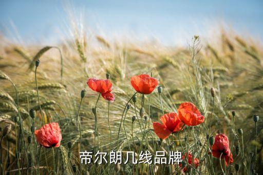 帝爾朗幾線品牌