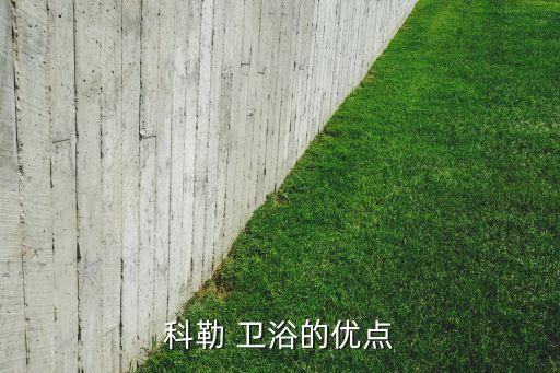 科勒 衛(wèi)浴的優(yōu)點
