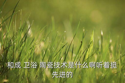 陶瓷衛(wèi)浴設(shè)計(jì)是都要會(huì)什么,衛(wèi)生間裝修要注意什么?