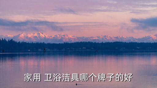 家用 衛(wèi)浴潔具哪個(gè)牌子的好