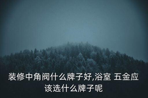 裝修中角閥什么牌子好,浴室 五金應(yīng)該選什么牌子呢