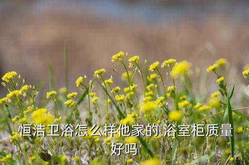  恒潔衛(wèi)浴怎么樣他家的 浴室柜質(zhì)量好嗎