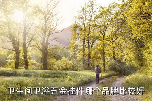 帝朗衛(wèi)浴價格,推薦正山衛(wèi)浴304不銹鋼掛件廣東第一!