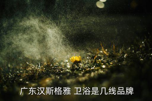  廣東漢斯格雅 衛(wèi)浴是幾線品牌