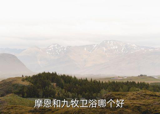 摩恩衛(wèi)浴,關(guān)于摩恩和九牧你必須知道的衛(wèi)浴知多少?