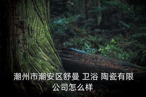 潮州陶瓷衛(wèi)浴網(wǎng),潮州舒曼-0陶瓷公司經(jīng)營(yíng)范圍為陶瓷加工制造