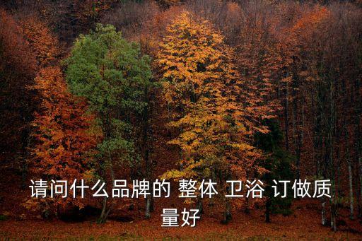 請(qǐng)問(wèn)什么品牌的 整體 衛(wèi)浴 訂做質(zhì)量好