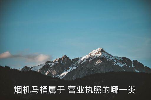 煙機馬桶屬于 營業(yè)執(zhí)照的哪一類